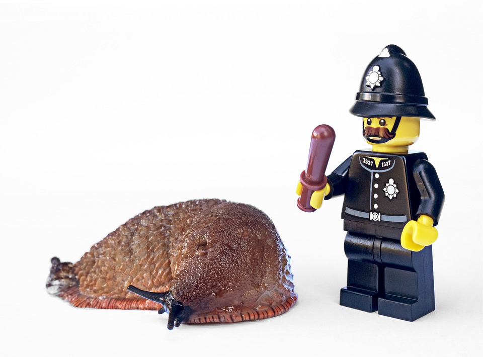 How To Find A Good Pest Control Company
