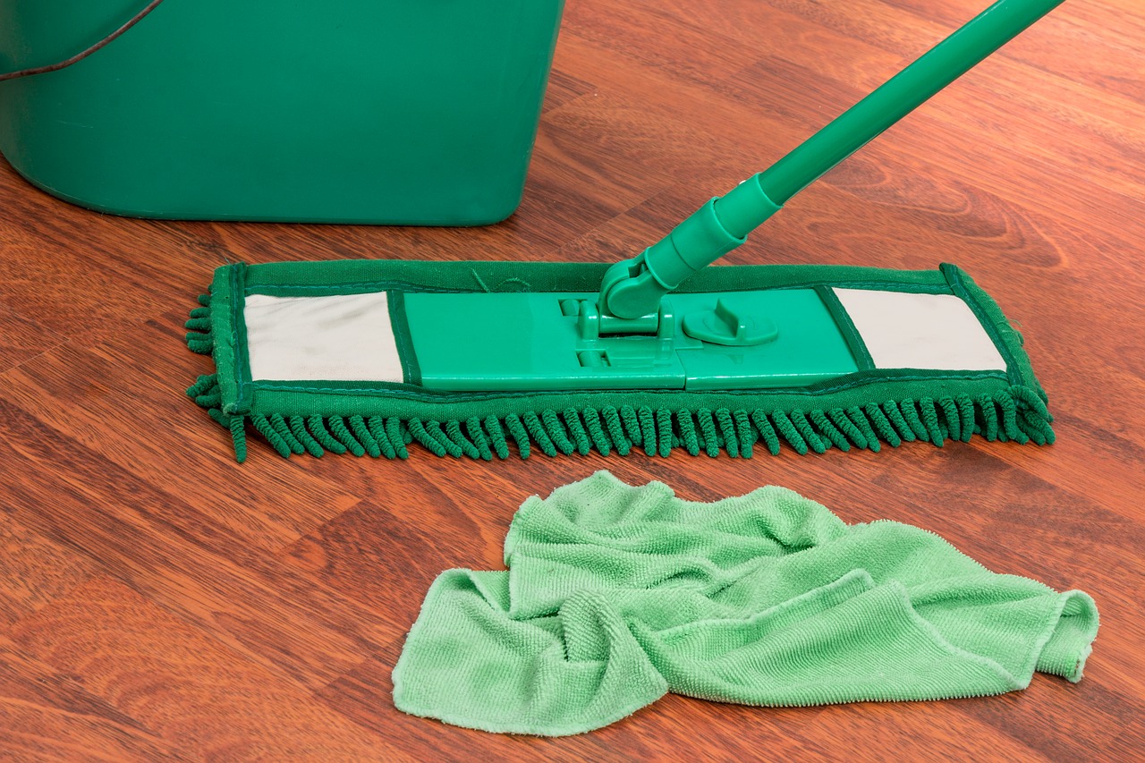 How to Clean your house the lazy way