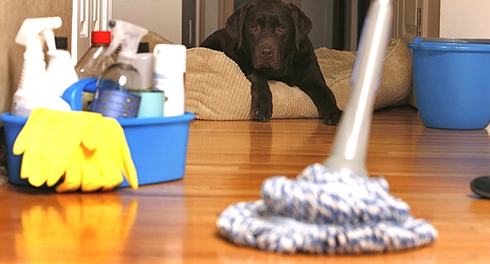 Advantages of Using a Maid Service